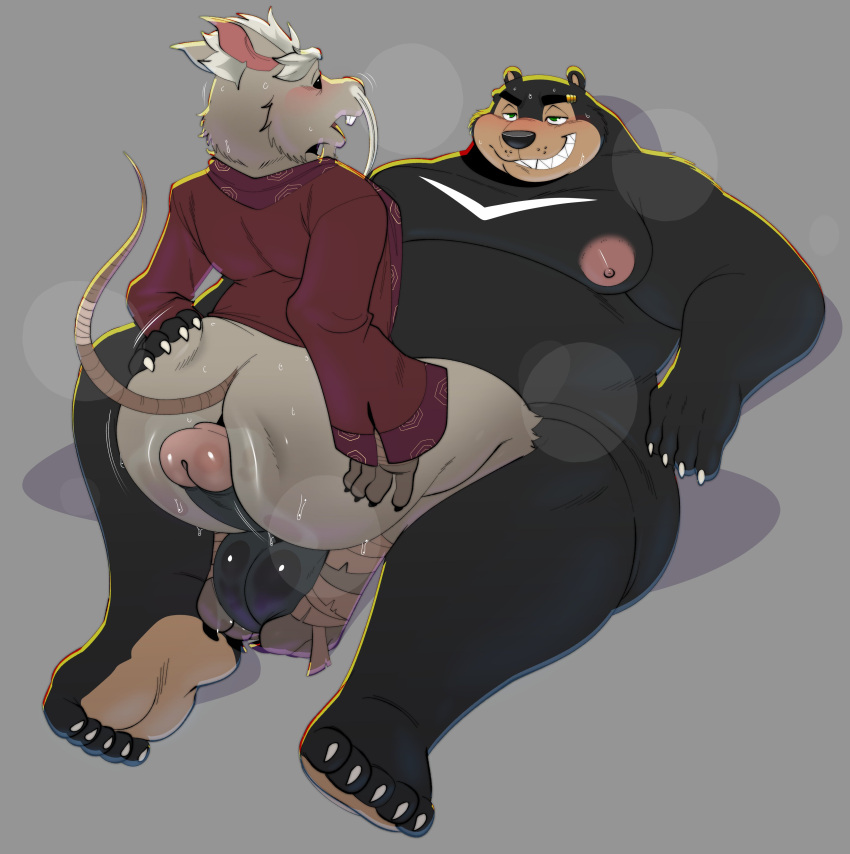 absurd_res anthro balls bear big_balls big_butt black_body black_fur bodily_fluids bottomless buckteeth butt canon_x_oc claws clothed clothing cowgirl_position duo facial_hair feet foot_on_balls foot_wraps from_front_position fur genitals grey_body grey_fur grins hadou_(satsui-n0-had0u) hair hi_res hot_dogging huge_butt male male/male mammal master_splinter mature_male moobs murid murine mustache nipples nude on_bottom on_top overweight overweight_anthro overweight_male rat rodent satsui-n0-had0u sex sun_bear sweat teenage_mutant_ninja_turtles teeth toe_claws ursine white_hair wraps