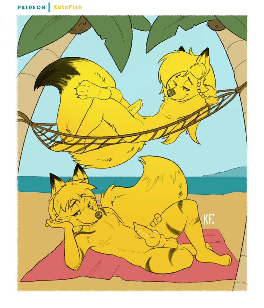 absurd_res anthro balls beach canid canine duo fox genitals hi_res katxfish male male/male mammal naughty_face nude nude_beach paws penis public public_nudity relaxing seaside tail