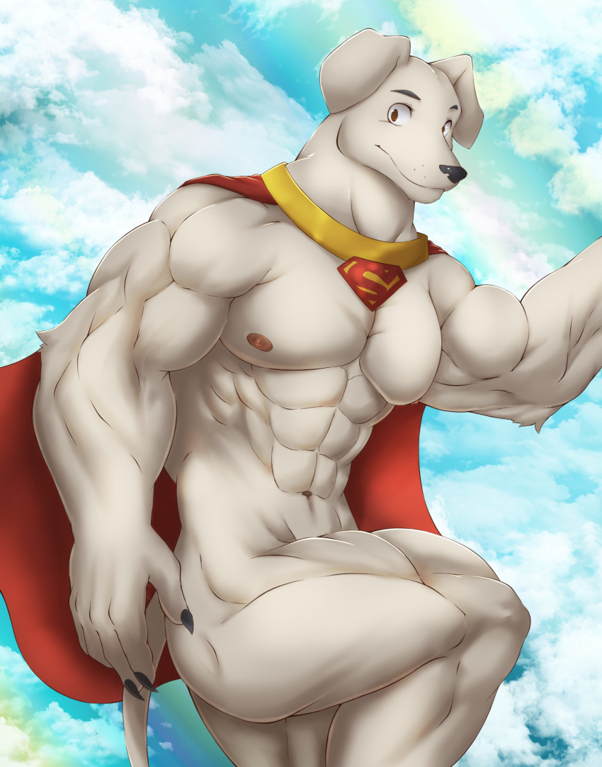 2023 abs anthro anthrofied biceps black_nose canid canine canis cape cape_only chibikoma clothing detailed_background digital_drawing_(artwork) digital_media_(artwork) domestic_dog fur hi_res krypto krypto_the_superdog looking_at_viewer male mammal mostly_nude muscular muscular_anthro muscular_male navel nipples nude pecs portrait superhero three-quarter_portrait white_body white_fur