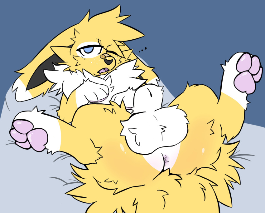 animal_genitalia balls balls_focus bandage_on_face big_balls bodily_fluids butt butt_focus drooling eeveelution feral floppy_ears fluffy fluffy_balls gatotush generation_1_pokemon genitals haku_(pamiko) hi_res jolteon lying male nintendo on_back paws pokemon pokemon_(species) saliva sheath solo spread_legs spreading tired