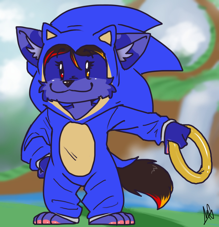 anthro canid canine chibi cosplay digital_media_(artwork) fur hair hi_res male mammal matthew_(mattydoro) mattydoro paws ring_(sonic) sega solo sonic_the_hedgehog_(series) tail