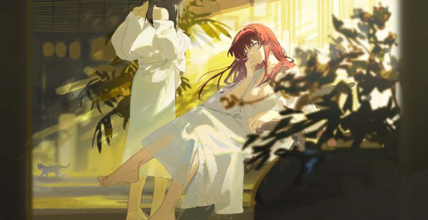 2girls absurdres alternate_hairstyle animal animal_ears back bare_shoulders barefoot blurry breasts cat cat_ears cat_tail chair cigarette cleavage crossed_legs curtains dress floor grey_fur grey_hair hair_between_eyes hand_up highres holding holding_cigarette honkai:_star_rail honkai_(series) indoors kafka_(honkai:_star_rail) long_hair long_sleeves looking_to_the_side medium_breasts multiple_girls off_shoulder plant purple_eyes rafaelaaa red_hair robe sitting smoke smoking standing stelle_(honkai:_star_rail) sunlight tail trailblazer_(honkai:_star_rail) white_dress white_robe wide_sleeves window