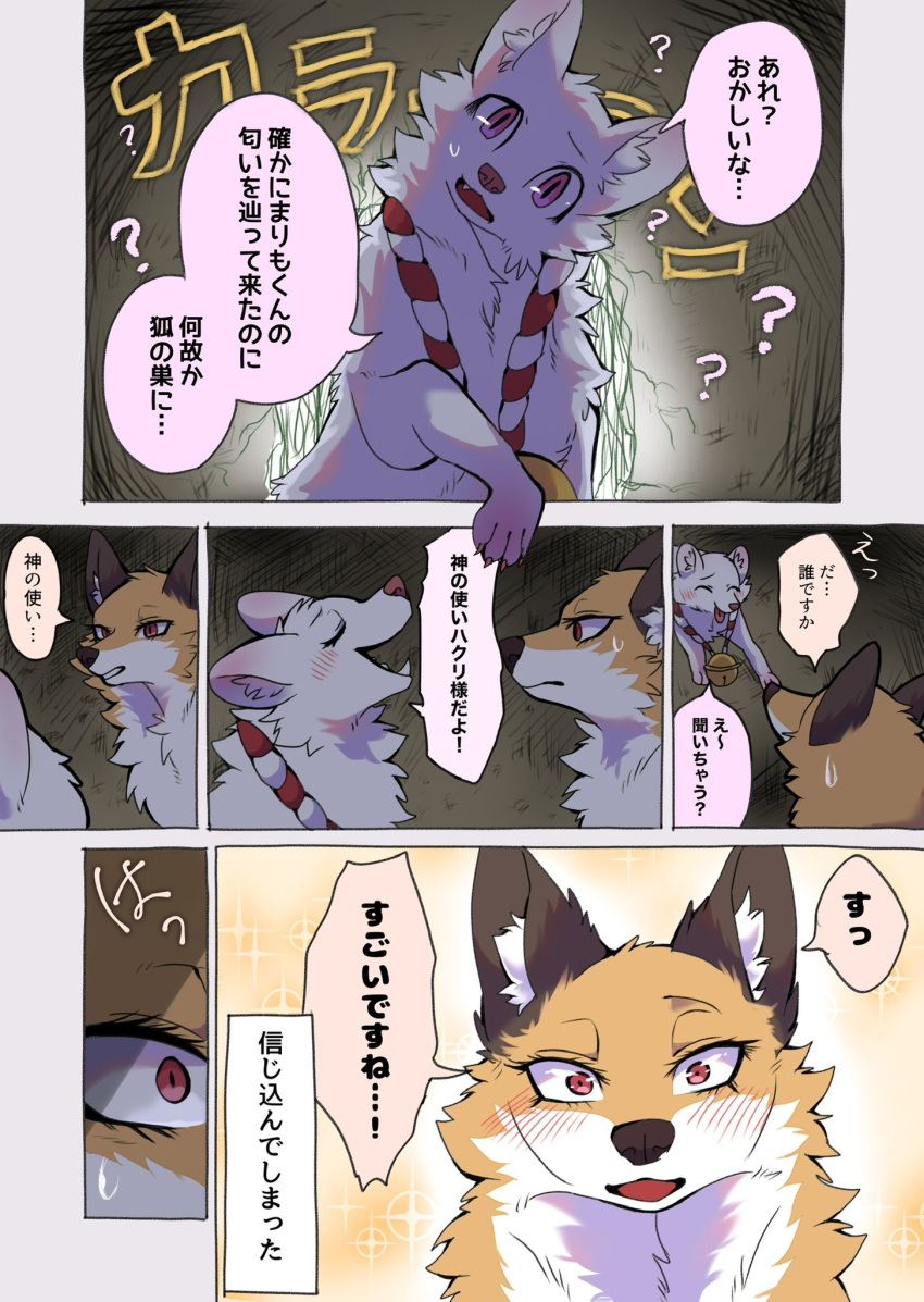 2024 ambiguous_gender black_nose canid canine cheek_tuft comic dialogue digital_media_(artwork) dipstick_tail duo eyelashes facial_tuft female feral fluffy fluffy_tail fox fur hakuri_(kurumilky6) hi_res inner_ear_fluff japanese_text kurumilky6 mammal markings mikan_(kurumilky6) monotone_body orange_body orange_fur orange_tail outside quadruped raccoon_dog red_eyes speech_bubble tail tail_markings tanuki text translation_request tuft white_body white_fur white_inner_ear_fluff white_tail white_tail_tip