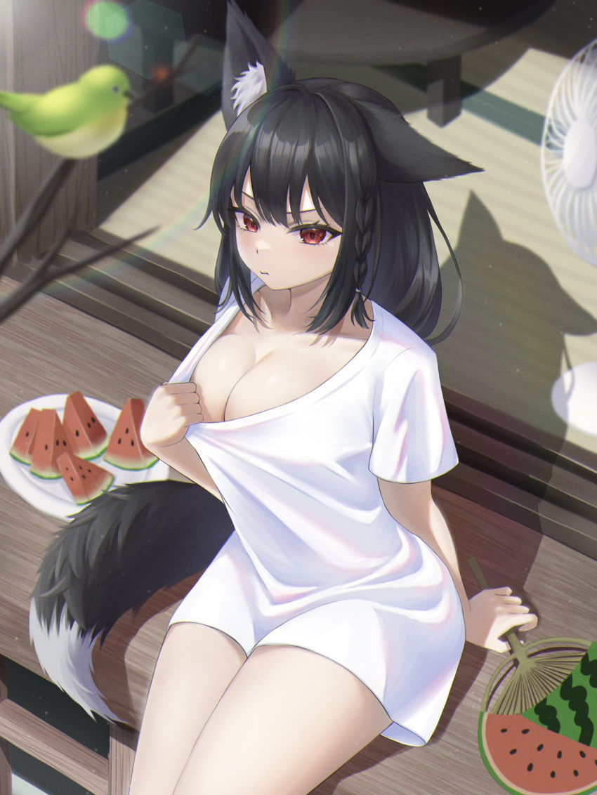 1girl animal_ear_fluff animal_ears bangs bird black_hair blush braid breasts cleavage clothes_pull commentary_request ear_down electric_fan food fox_ears fox_girl fox_tail fruit hair_between_eyes hand_fan highres holding holding_fan hololive kurokami_fubuki large_breasts long_hair looking_at_viewer nekorone0222 paper_fan pout red_eyes shadow shirt shirt_pull short_sleeves sidelocks single_braid sitting solo tail virtual_youtuber watermelon white_shirt