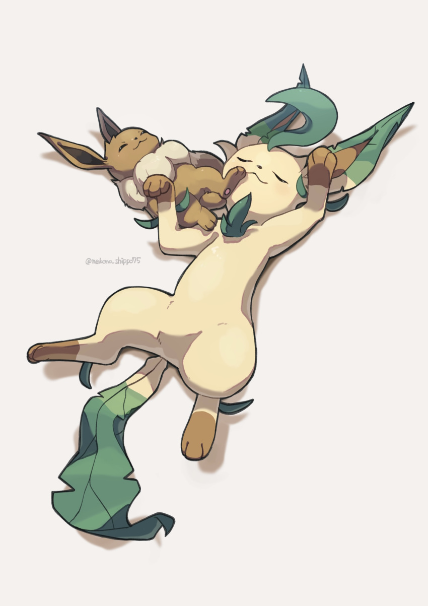 :3 closed_eyes closed_mouth commentary_request eevee highres leafeon lying nako_(nekono_shippo75) no_humans on_back pokemon pokemon_(creature) sleeping smile twitter_username