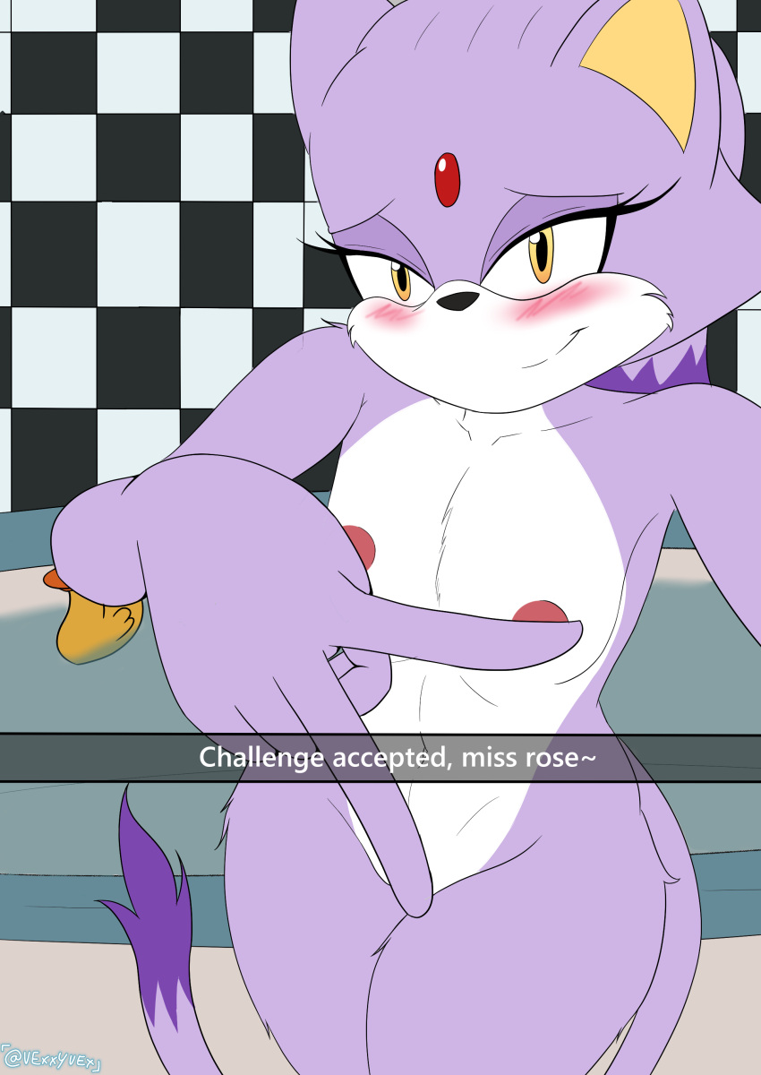 absurd_res anthro bathroom bathtub blaze_the_cat blush breasts censored covering covering_self felid feline female flat_chested fur hair_down hi_res looking_at_viewer mammal meme mirror_selfie nude one_finger_challenge purple_body purple_fur sega selfie small_breasts smile solo sonic_the_hedgehog_(series) text thick_thighs vexxyvex white_body white_fur yellow_eyes