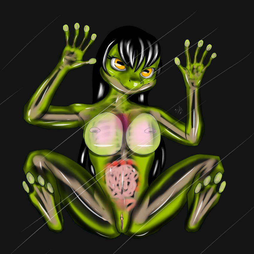 amphibian amphibian_humanoid animal_humanoid anthro artist_thed4rk1ord female frog frog_humanoid glass glass_frog hi_res humanoid solo translucent translucent_body