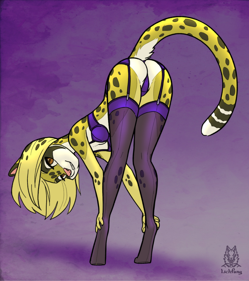 anthro bent_over black_spots blonde_hair bra breasts butt clothing countershade_face countershade_torso countershading digitigrade domestic_cat eyebrows facial_markings felid feline felis female g-string garter_straps green_eyes hair head_markings hi_res legwear lichfang lingerie looking_at_viewer looking_back mammal maria_ambertail markings mask_(marking) mixed_breed multicolored_body panties pink_nose presenting presenting_hindquarters raised_tail ring_(marking) ringtail savannah_cat seductive short_hair simple_background slim smile solo spots spotted_body stockings tail_markings teeth translucent translucent_clothing two_tone_body underwear white_body yellow_body