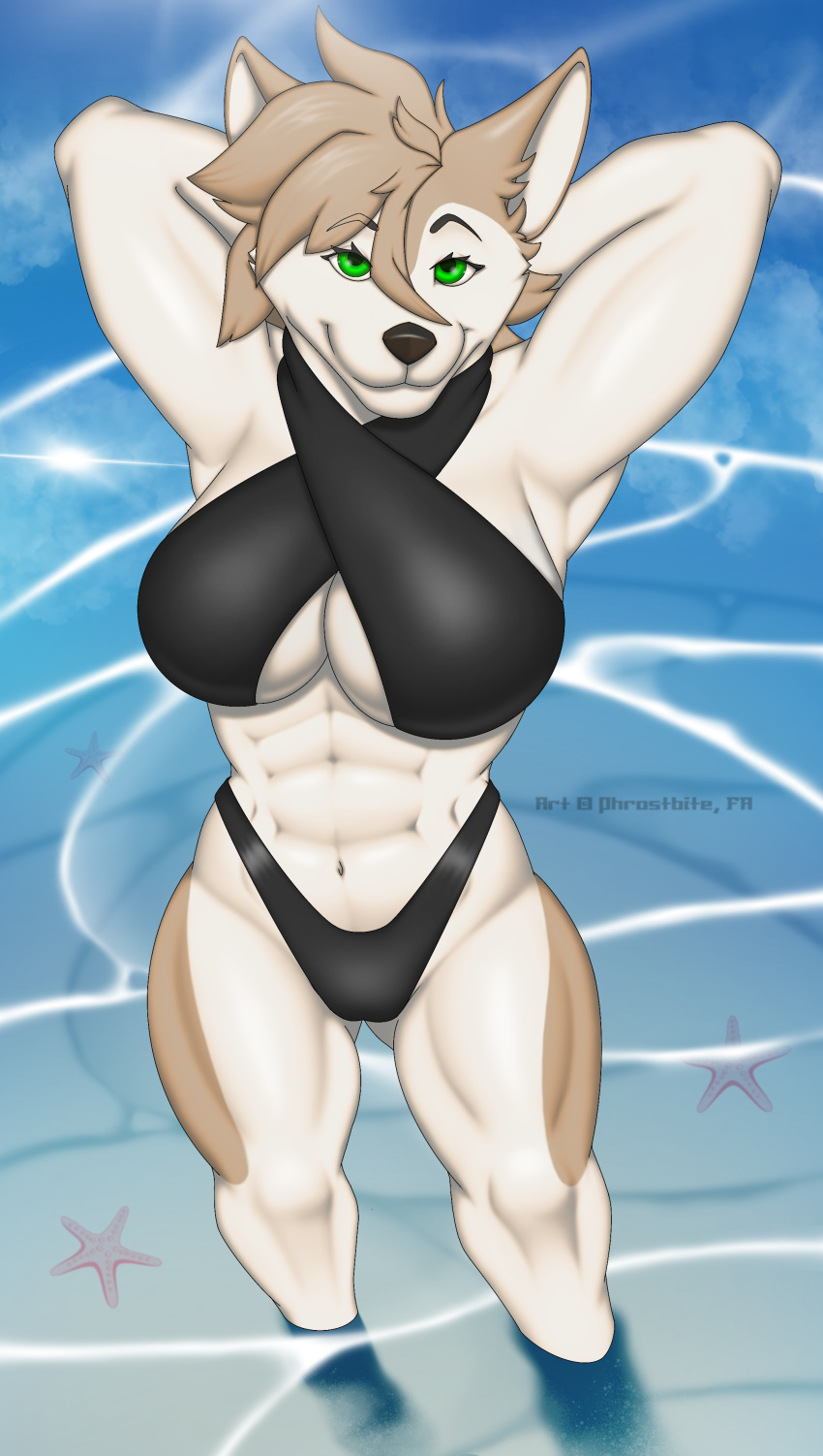 abs absurd_res ambient_sealife ambient_starfish anthro asterozoan big_breasts bikini breasts canid canine canis clothing cloud domestic_dog echinoderm feet_in_water female flexing fur green_eyes hair hands_behind_head hatter_da_husky hi_res husky inner_side_boob light looking_up_at_viewer mammal marine messy_hair muscular muscular_female muscular_thighs nordic_sled_dog phrostbite sand sea shallow_water short_hair signature solo spitz standing sunlight swimwear tan_body tan_fur two_piece_swimsuit water watermark white_body white_fur white_inner_ear