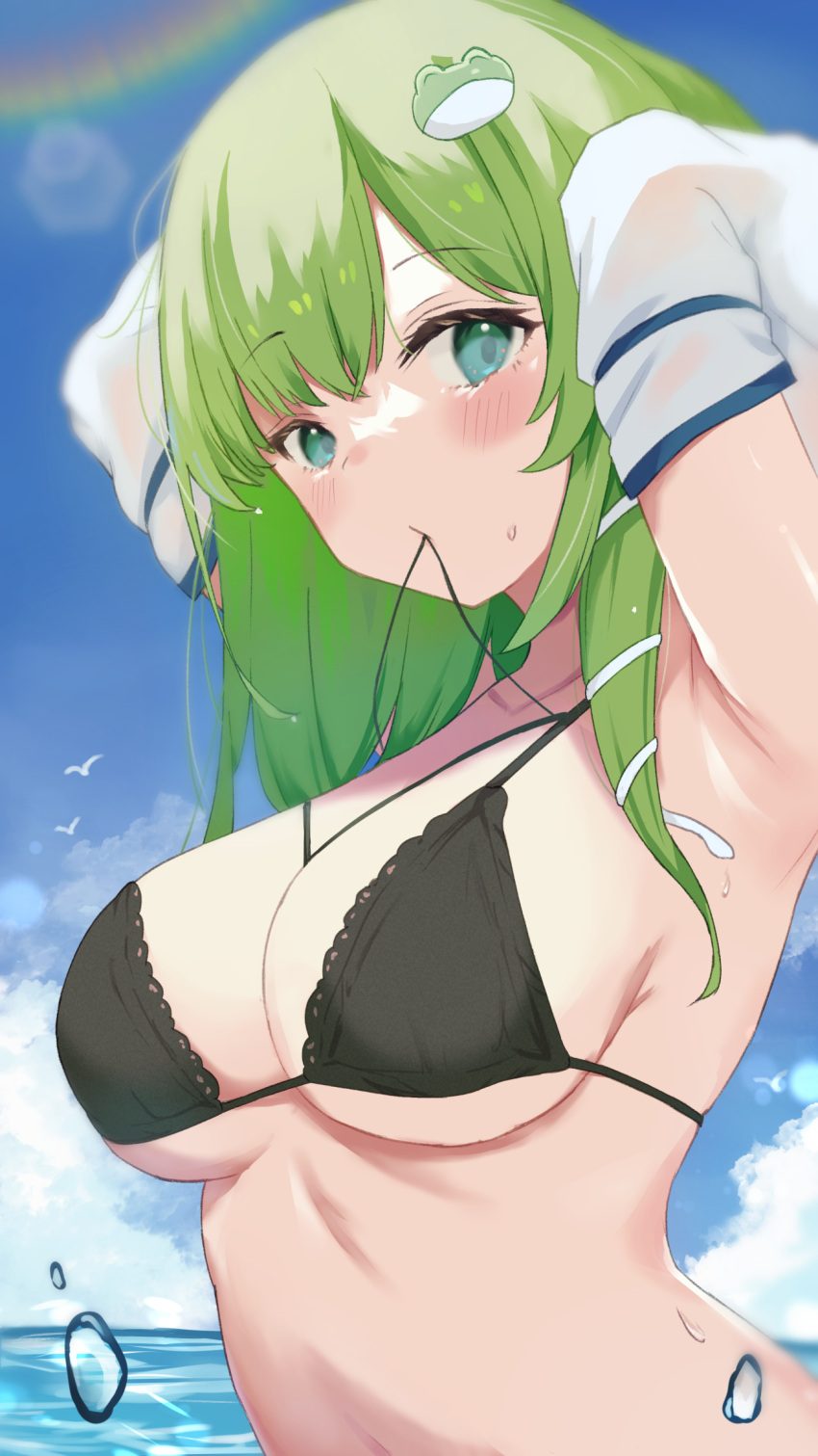 1girl aqua_eyes armpits bird black_bra blue_sky bra breasts cloud commentary_request day frog_hair_ornament green_hair hair_ornament highres kochiya_sanae kogalashi large_breasts long_hair looking_at_viewer mouth_hold ocean rainbow sky snake_hair_ornament solo touhou underwear