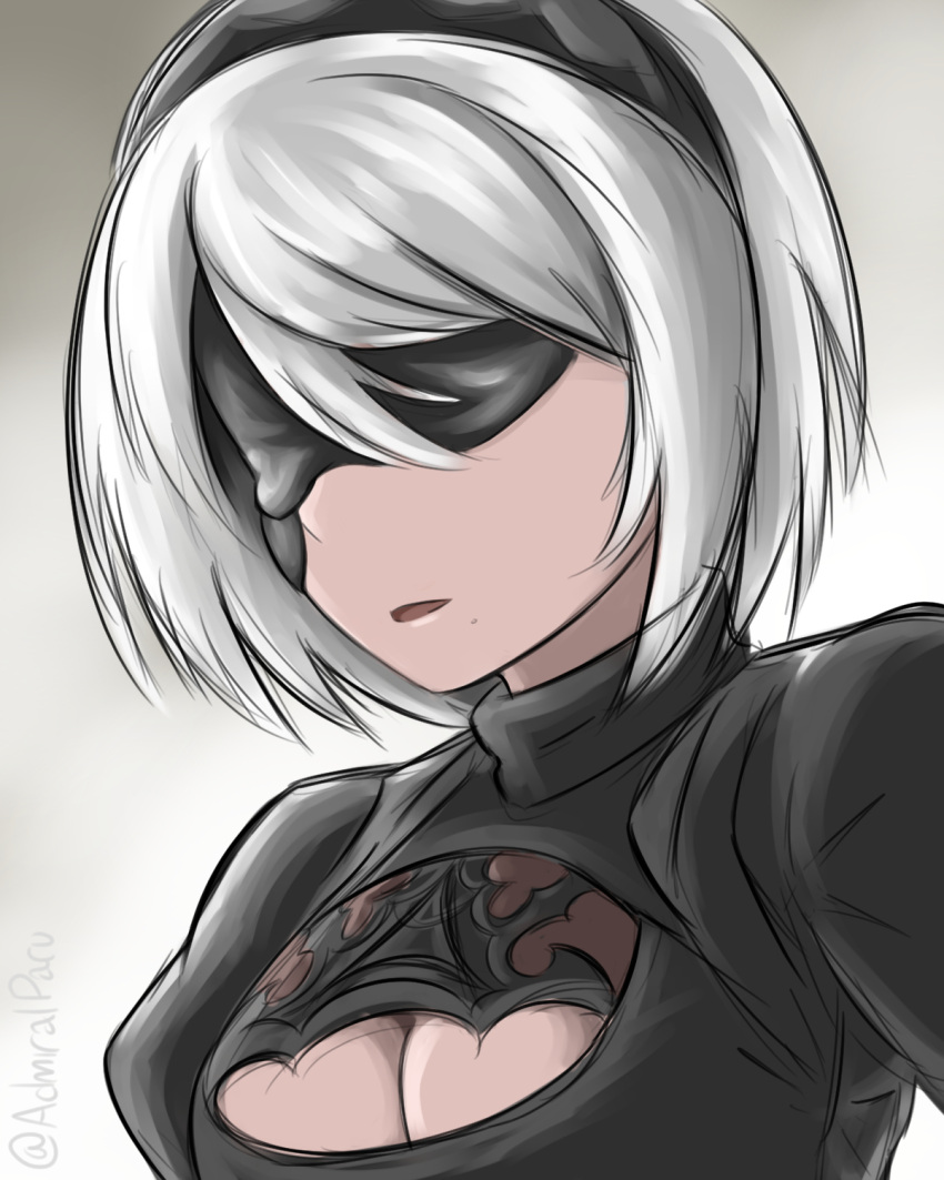 1girl admiral_paru black_blindfold black_hairband blindfold breasts cleavage cleavage_cutout clothing_cutout grey_hair hairband highres juliet_sleeves long_sleeves medium_breasts nier_(series) nier_automata portrait puffy_sleeves solo yorha_no._2_type_b
