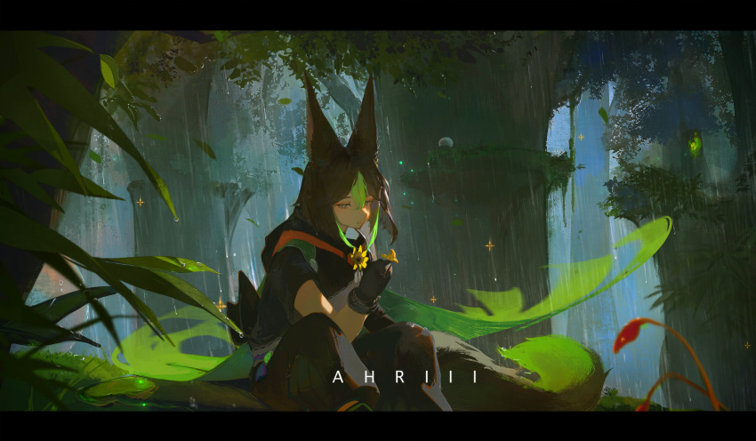 1boy :t absurdres animal_ears bangs bite_mark black_gloves black_hair black_hoodie black_pants closed_mouth commentary_request flower forest fox_boy fox_ears fox_tail genshin_impact gloves green_eyes green_hair highres holding holding_mushroom hood hood_down hoodie letterboxed looking_at_food male_focus medium_hair multicolored_hair mushroom nature outdoors pants qiqi~ rain scenery short_sleeves solo tail tighnari_(genshin_impact) tree two-tone_hair yellow_flower