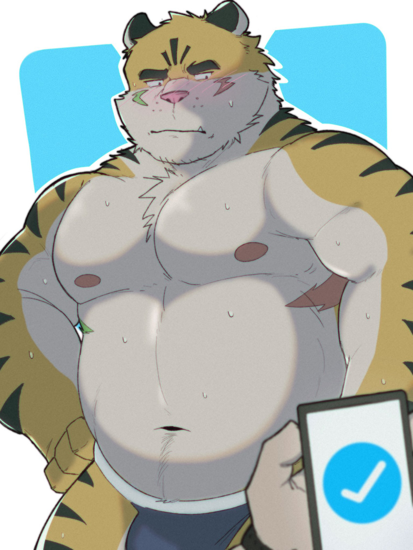 2022 anthro bodily_fluids bulge cellphone clothing duo felid hi_res humanoid_hands kemono male mammal navel nipples pantherine phone pink_nose smartphone solo_focus sweat tiger underwear whitebeast20