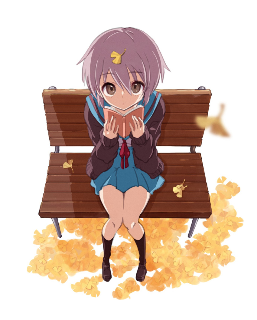 1girl bangs bench black_socks blue_sailor_collar book brown_eyes brown_footwear cardigan full_body highres holding holding_book kita_high_school_uniform kneehighs leaf loafers long_sleeves looking_at_viewer looking_up nagato_yuki nanabuluku purple_hair red_ribbon ribbon sailor_collar school_uniform serafuku shoes short_hair simple_background sitting skirt socks solo suzumiya_haruhi_no_yuuutsu white_background