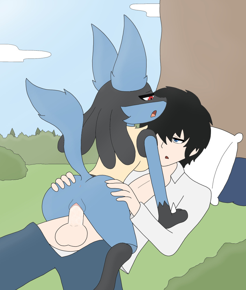 absurd_res anthro anthro_penetrated anus balls bodily_fluids butt cowgirl_position duo female female_on_top from_front_position generation_4_pokemon genital_fluids genitals hand_on_butt hi_res human human_on_anthro human_penetrating interspecies lucario lying male male/female mammal nintendo on_bottom on_top outside penetration penile penile_penetration penis penis_in_pussy pillow pokemon pokemon_(species) pussy pussy_juice roguecolonel303 sex vaginal vaginal_penetration video_games