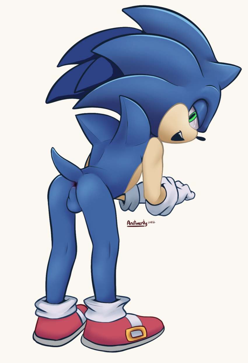 anitwenty anthro anus butt clothing eulipotyphlan footwear gloves handwear hedgehog hi_res leaning leaning_forward looking_at_viewer looking_back male mammal pink_anus presenting presenting_anus presenting_hindquarters raised_tail sega shoes socks solo sonic_the_hedgehog sonic_the_hedgehog_(series)