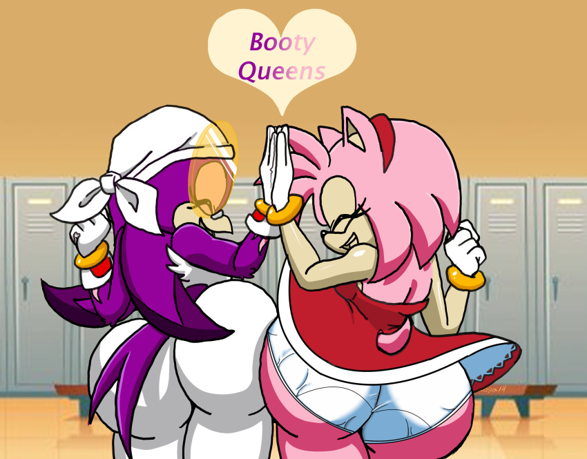 absurd_res amy_rose avian big_butt bird butt butt_slam clothing dress duo eulipotyphlan female gesture hedgehog hi_res high_five hirundinid mammal oscine panties passerine petticoat roga141 sega sonic_riders sonic_the_hedgehog_(series) swallow_(bird) underwear wave_the_swallow wide_hips