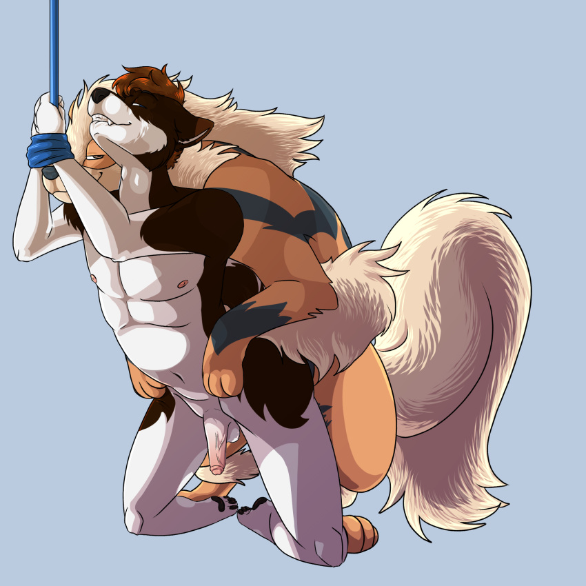 anal anal_penetration anthro anthro_on_feral anthro_penetrated antoszowa arcanine balls bestiality brown_body brown_fur canid canine canis duo duo_focus feral feral_penetrating feral_penetrating_anthro from_behind_position fur generation_1_pokemon genitals group hair hi_res humanoid_genitalia hybrid interspecies kneeling male male/male male_on_feral male_penetrated male_penetrating male_penetrating_male mammal nintendo nude on_ground paws_on_hips penetration pokemon pokemon_(species) pokephilia rope sex shaded size_difference smile teeth video_games wolfdog