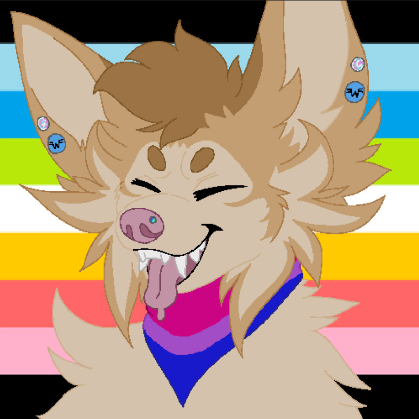 anthro bandanna_on_neck bisexual bisexual_pride_colors bodily_fluids canid canine canis cheek_tuft chihuahua digital_media_(artwork) domestic_dog drooling ear_piercing eyes_closed facial_piercing facial_tuft female fluffy fur genderqueer_pride_colors hi_res lgbt_pride male mammal ms_paint nose_piercing nostril_piercing piercing pink_nose pink_tongue pixel_(artwork) pride_colors queer queer_pride rattdawg saliva smile solo tan_body tan_fur teeth tongue tongue_out toy_dog trans_(lore) transgender_pride_colors tuft weezer you_just_got_weezered