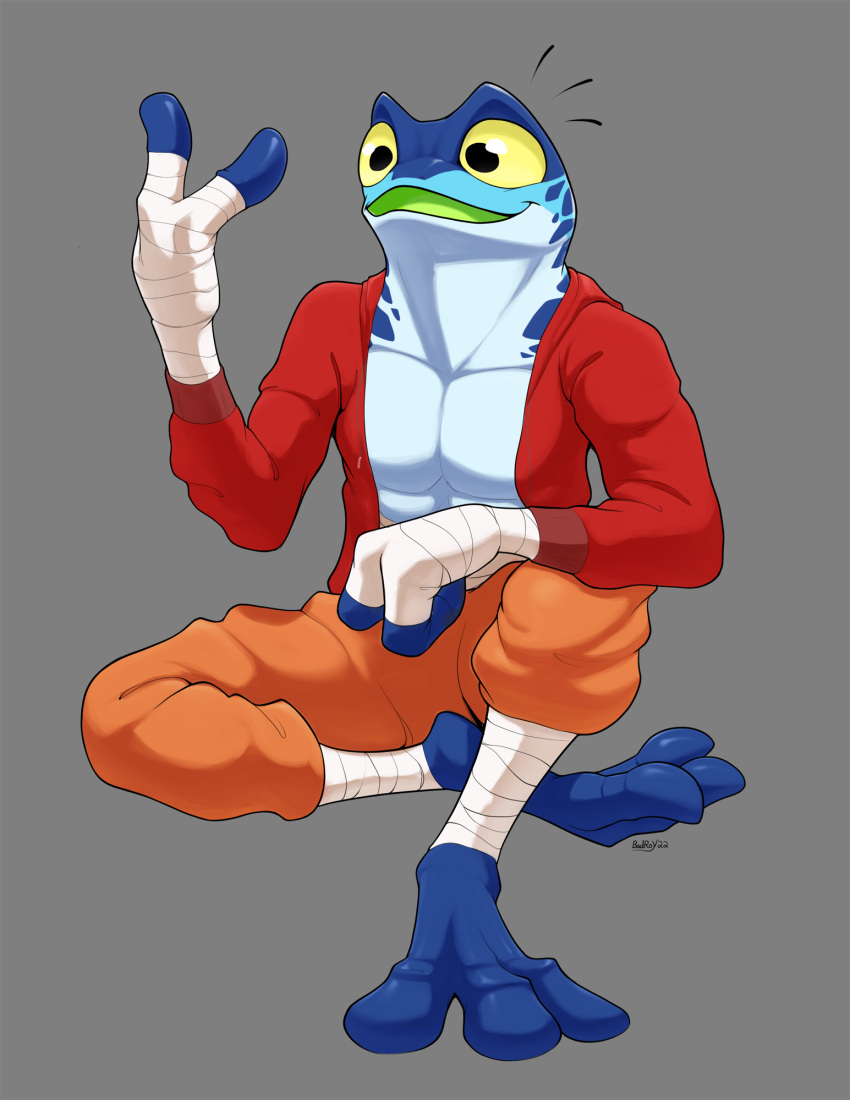 after_transformation amphibian anthro badroy clothed clothing feet frog happy hi_res male muscular ranno rivals_of_aether smile solo toes video_games wraps