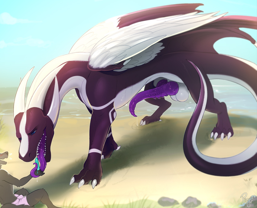 2022 anthro beach biped black_body canid canine claws clothed clothing digital_media_(artwork) dragon duo erection erection_under_clothing faceless_anthro faceless_character faceless_male feathered_wings feathers feral food genitals hand_lick horn knot long_tongue male male/male mammal multicolored_body outside penis pig_(artist) popsicle purple_penis purple_tongue quadruped scalie sea seaside tapering_penis toe_claws tongue tongue_out two_tone_body water western_dragon white_body wings