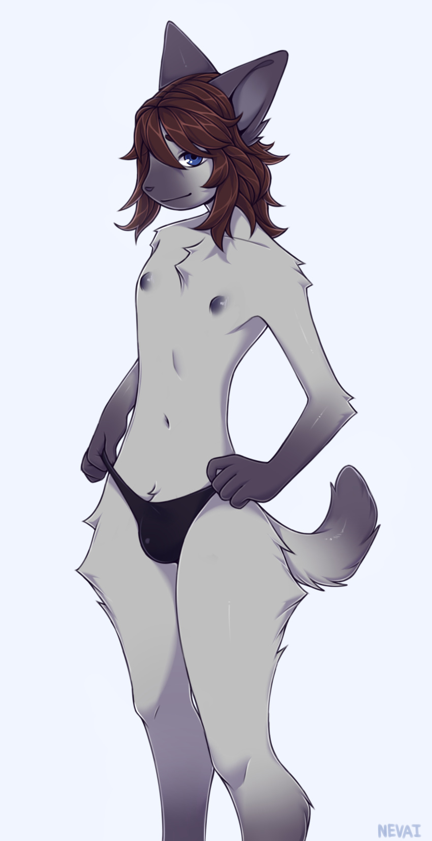 absurd_res anthro blue_eyes brown_hair clothing domestic_cat felid feline felis fur girly grey_body grey_fur hair hi_res looking_at_viewer male mammal nevai nipples panties panties_bulge purple_body purple_fur purple_nipples short_tail siamese solo underwear valery_funika