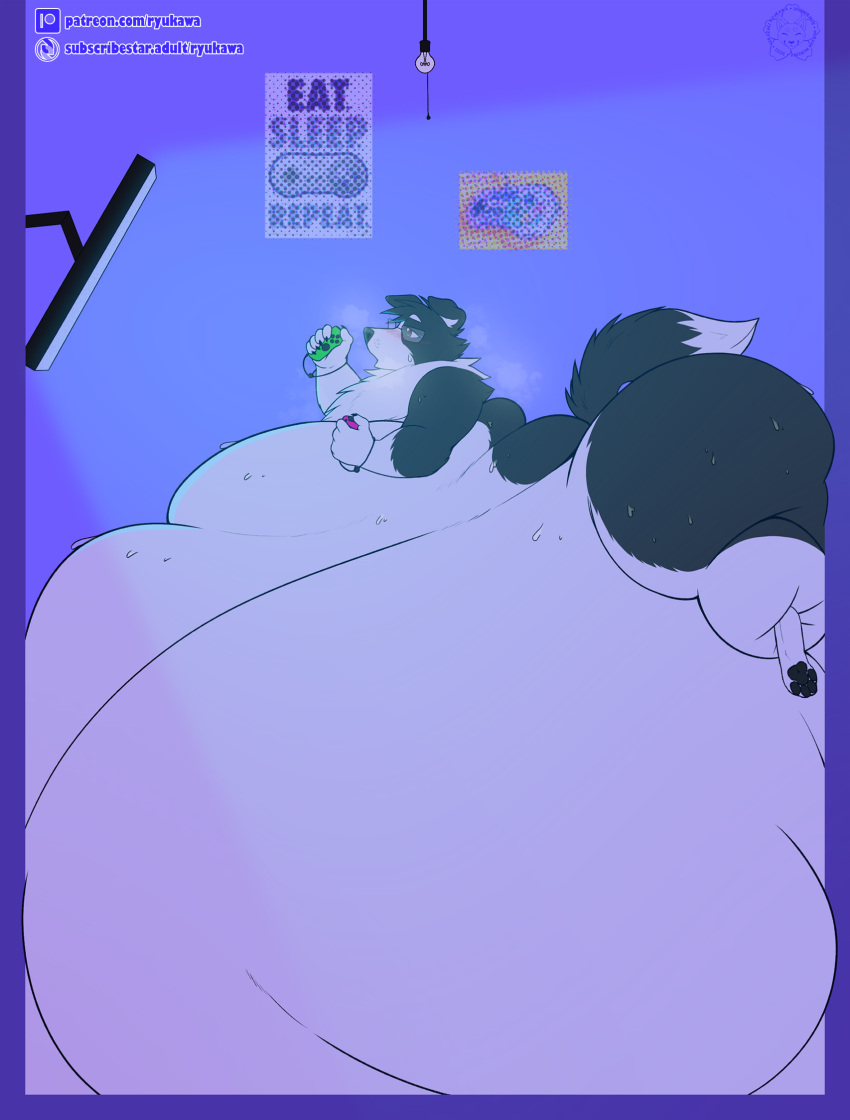 2022 anthro belly big_belly blob_(disambiguation) bodily_fluids border_collie breath bubble_butt butt canid canine canis collie domestic_dog exercise eyewear fat_rolls fatfur feet glasses herding_dog hi_res hyper hyper_belly male mammal morbidly_obese nintendo nintendo_switch obese overweight panting pastoral_dog pawpads paws ryukawa sheepdog solo sweat television video_games