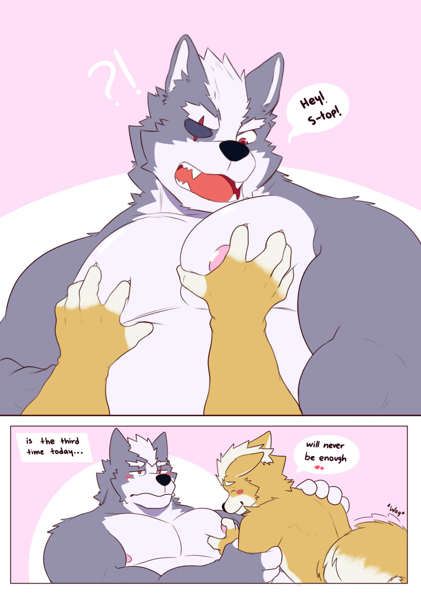 &lt;3 absurd_res anthro blush canid canine canis dialogue duo english_text fangs fox fox_mccloud hi_res male male/male mammal moshihun muscular muscular_anthro muscular_male nintendo nipples open_mouth pec_grasp pecs star_fox tail_motion tailwag text video_games wolf wolf_o'donnell