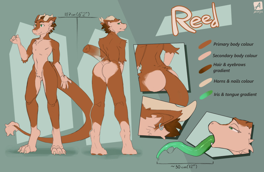 absurd_res andr0ch animal_humanoid anthro brown_body brown_fur brown_hair butt claws crotch_tuft dragon dragon_humanoid ear_piercing ear_ring english_text eyelashes flat_colors fluffy fur green_eyes hair hi_res hip_tuft horn humanoid long_tongue model_sheet paws piercing raised_tail reed_(andr0ch) ring_piercing simple_background tail tail_tuft text tongue tongue_out tuft wingless_dragon