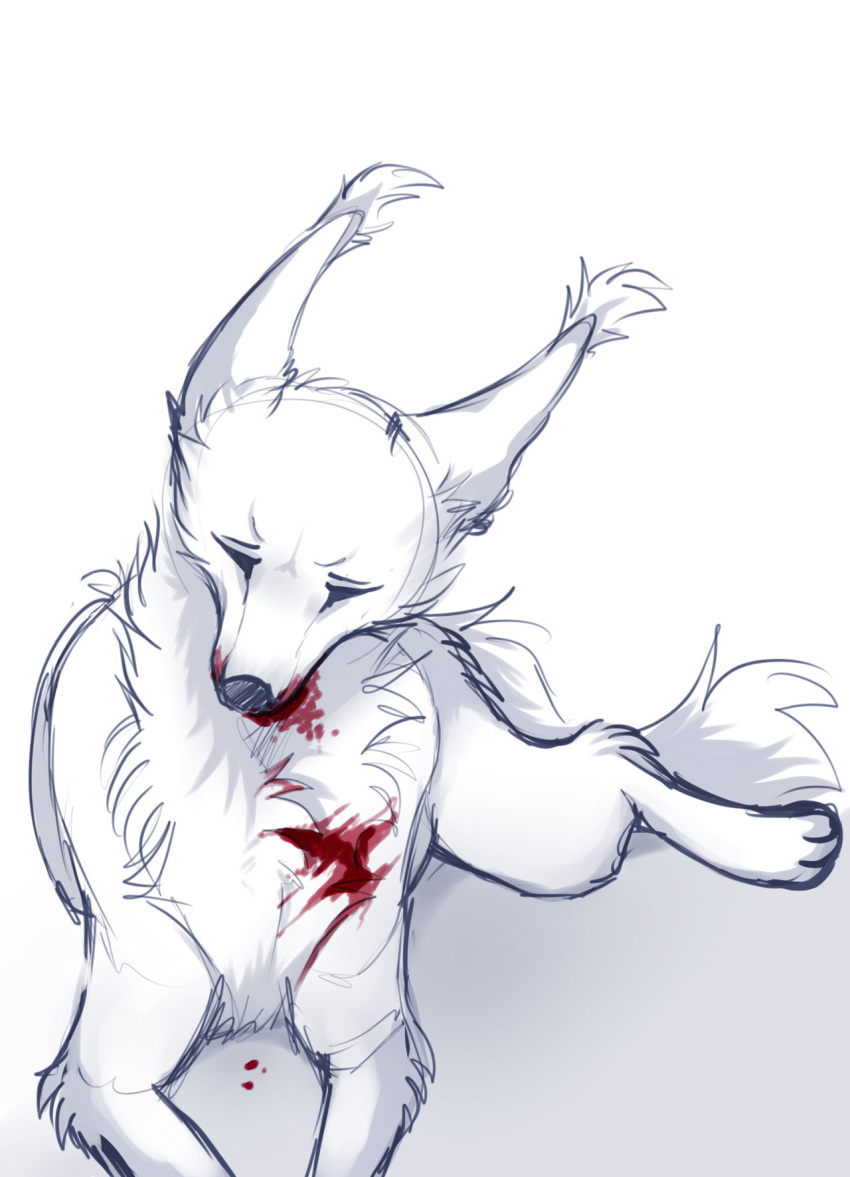 ambiguous_gender blood bodily_fluids canid ear_tuft eyes_closed feral front_view fur hi_res lying mammal on_front santanahoffman simple_background sketch solo tuft unsigned white_background white_body white_ears white_fur white_tail wounded