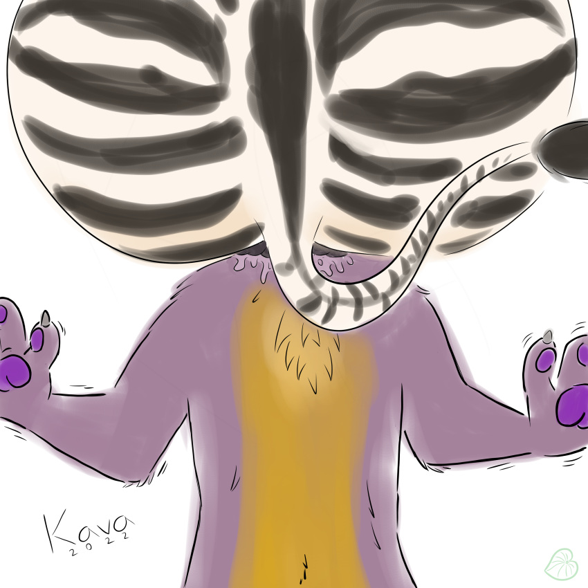 absurd_res ambiguous/ambiguous ambiguous_gender ambiguous_on_anthro ambiguous_species anal anal_collar anal_vore anthro belly duo equid equine fur head_in_ass hi_res kava_(artist) mammal pawpads purple_body purple_fur purple_pawpads questionable_consent simple_background striped_body striped_fur stripes surprise vore white_background yellow_belly zebra