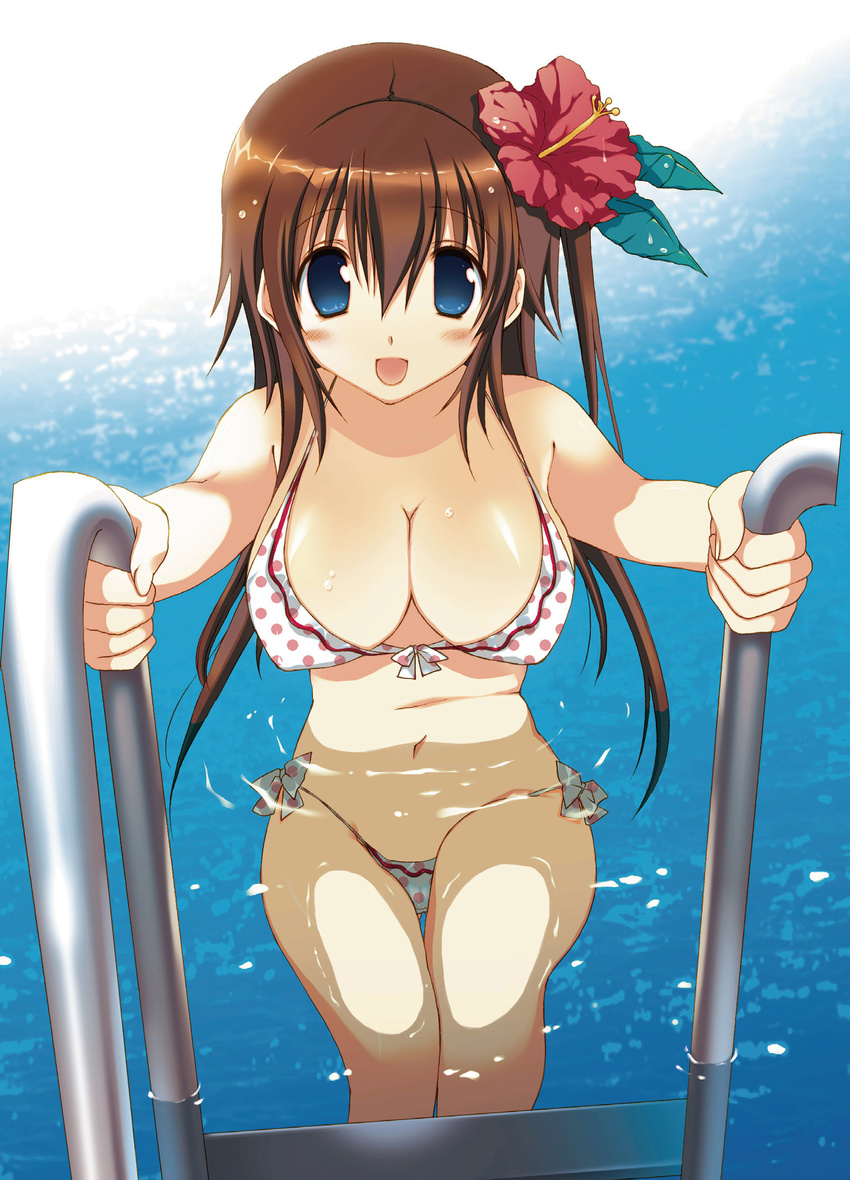 :d bikini blue_eyes blush body_blush breasts brown_hair cleavage copyright_request curvy flower frilled_bikini frills front-tie_top hair_flower hair_ornament hibiscus highres large_breasts looking_at_viewer navel open_mouth partially_submerged polka_dot polka_dot_bikini polka_dot_swimsuit pool pool_ladder shiny shiny_skin side-tie_bikini smile solo swimsuit takanae_kyourin thigh_gap