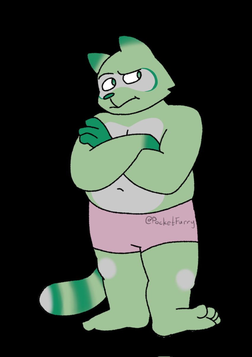 4_toes anthro bottomwear chubby_anthro chubby_male clothing crossed_arms digital_media_(artwork) english_text feet fred_(fredrick_brennan) fur green_body green_fur hi_res male mammal mouth_closed pocketfurry procyonid raccoon shorts slightly_chubby solo standing text toes
