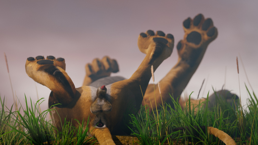 16:9 3d_(artwork) 3danimal 3dart 3dartwork 3dferal 3dlion animal_genitalia anus balls bigcat butt digital_media_(artwork) felid feral foggy fur genitals grass hair hi_res male mammal morning nature pantherine plant ruark solo sunrise widescreen