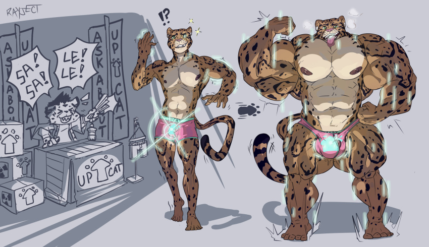 anthro barazoku benji_(mainlion) bulge clothing clouded_leopard felid flexing flexing_bicep growth growth_sequence hi_res hyper male mammal muscle_growth muscular muscular_male nipples pantherine pecs ray_(rayject) rayject solo tongue tongue_out underwear