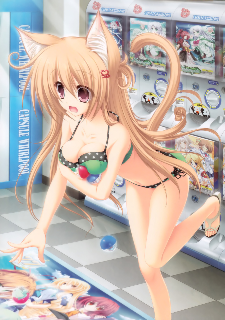 absurdres animal_ears bikini brown_hair cat_ears duplicate gashapon green_bikini highres inakoi magus_tale mikagami_mamizu neko_koi! polka_dot ryuudou_misaki solo swimsuit tail tenmaso