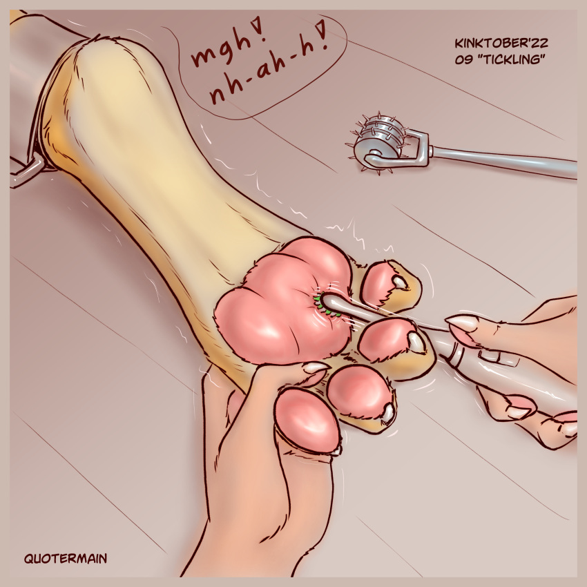 1:1 4_toes absurd_res ambiguous_gender barefoot bdsm bondage bound disembodied_foot disembodied_hand feet foot_fetish hi_res kinktober legs_tied pawpads pink_pawpads quotermain tickle_fetish tickling tickling_feet toes unknown_species