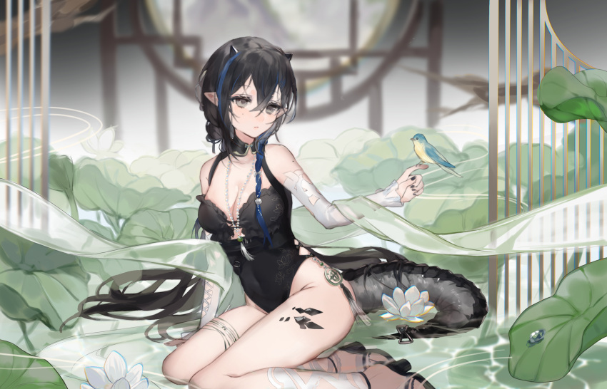 1girl arknights bare_shoulders bird bird_on_hand black_footwear black_hair black_nails black_one-piece_swimsuit blacknight_(arknights) blacknight_(summer_flowers)_(arknights) blue_hair braid breasts casual_one-piece_swimsuit cleavage covered_navel detached_sleeves grey_eyes high_heels highres horns jewelry kunguiyuzhimeng long_hair long_sleeves mole mole_under_eye multicolored_hair nail_polish necklace official_alternate_costume one-piece_swimsuit oripathy_lesion_(arknights) parted_lips plant pointy_ears scales shawl side_braid sitting solo swimsuit tail tassel thighlet two-tone_hair very_long_hair yokozuwari