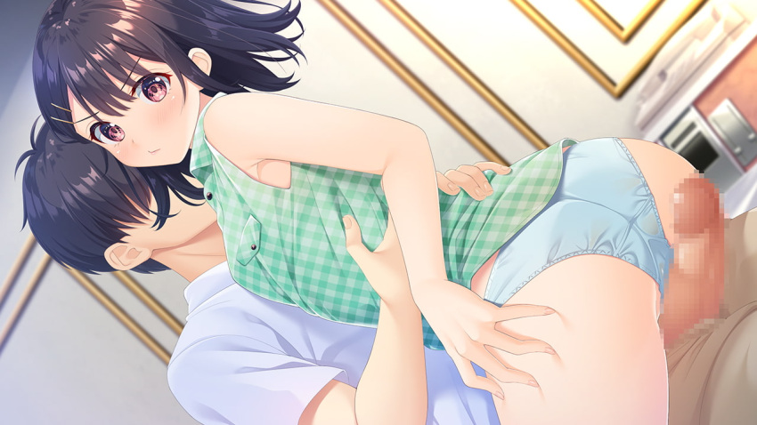 1boy 1girl ass black_hair blue_panties blush breasts brother_and_sister brown_eyes censored courreges_ace erection gaman_ga_dekinai_doutei_aniki_to_sunao_ni_narenai_hankou_imouto game_cg girl_on_top grinding hair_ornament hairclip hetero incest indoors medium_hair mosaic_censoring no_pants panties penis shirt siblings sleeveless sleeveless_shirt small_breasts straddling t-shirt torso_grab underwear upright_straddle