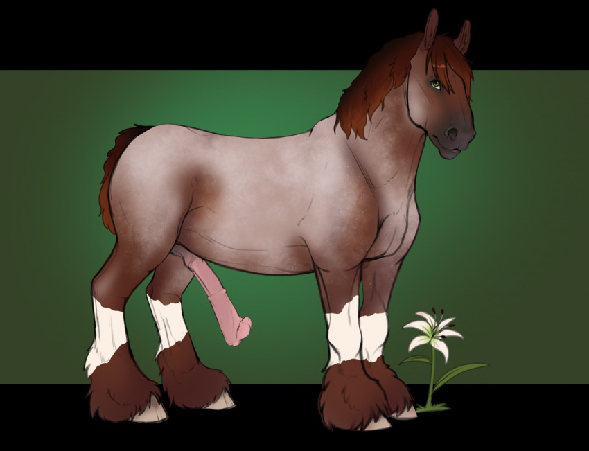 angellsview3 animal_genitalia animal_penis brown_hair brown_mane brown_tail digital_media_(artwork) draft_horse equid equine equine_penis erection feathering feral flared_penis flower fur genitals green_eyes hair hooves horse looking_at_viewer male mammal mane penis pink_penis plant simple_background solo trent_(wasen)