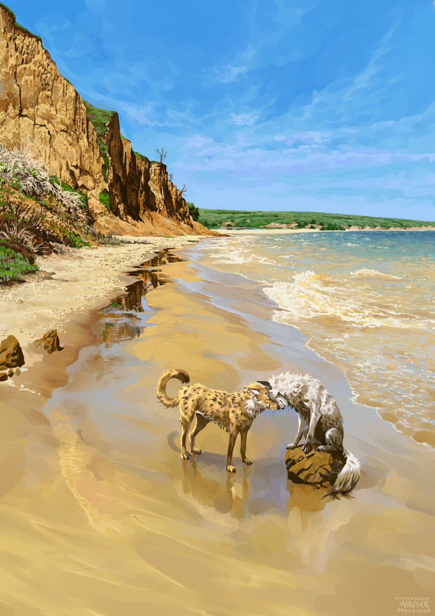 2022 absurd_res beach day detailed_background digital_media_(artwork) duo feral fur hi_res outside sand seaside shoreline sitting sky smile standing water wavyrr white_body white_fur