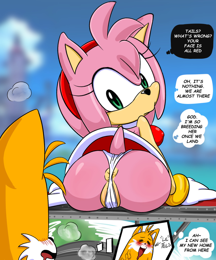 amy_rose anthro anus canid canine clothing eulipotyphlan female fox hedgehog hi_res male male/female mammal miles_prower panties pokachu_(artist) sega sonic_the_hedgehog_(series) underwear