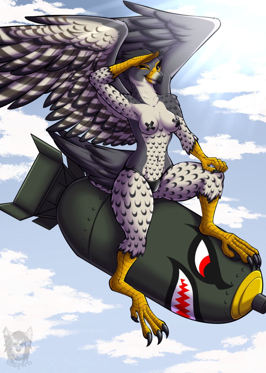 amber_eyes anthro avian beak bird blitzy-arts bomb claws clothing cloud explosives falcon falconid feathers female gesture grey_body grey_feathers hi_res nipple_tape pasties peregrine_falcon pinup pose salute sky solo spread_wings talons tape thong underwear white_body white_feathers wings