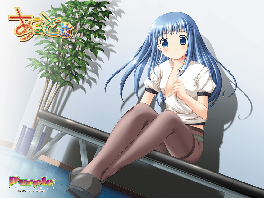 alto artist_request blue_eyes blue_hair blush highres kagami_shouko pantyhose plant sitting solo undressing wallpaper