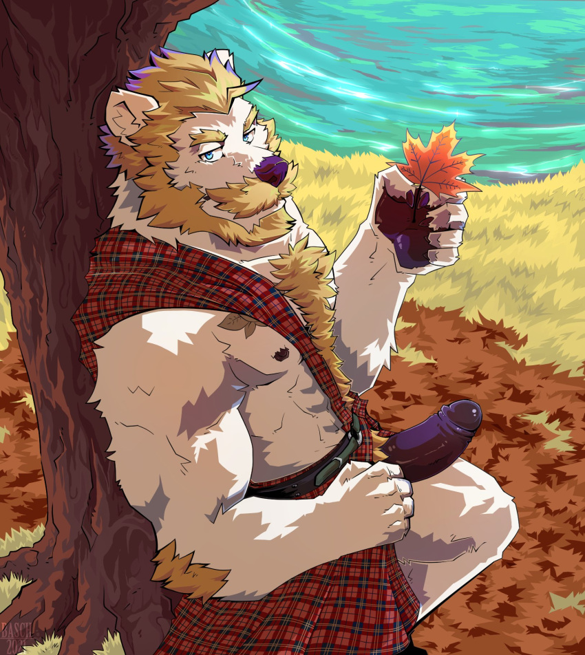 abs anthro autumn basch beard belt biceps black_penis blonde_hair blue_eyes body_hair chest_hair clothing erection facial_hair genitals hair happy_trail hi_res kilt leaf looking_at_viewer male mammal mustache nipples on_one_leg pattern_clothing pecs penis plaid plaid_clothing plant sky solo standing tree ursid