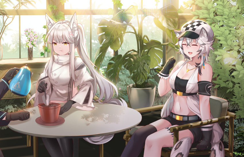 1other 2girls :d :t ^_^ absurdres anger_vein animal_ears arknights armband bandeau bangs bare_shoulders black_gloves black_thighhighs breasts cabbie_hat cleavage cliffheart_(arknights) closed_eyes commentary doctor_(arknights) feet_out_of_frame flower_pot gloves hat highres holding horse_ears jacket jewelry kettle large_breasts leopard_ears leopard_tail lingshalan long_hair long_sleeves midriff multiple_girls navel necklace open_mouth plant platinum_(arknights) ponytail single_thighhigh sitting sleeveless sleeveless_jacket smile stomach strapless tail thighhighs tube_top white_hair white_headwear white_jacket wide_sleeves yellow_eyes