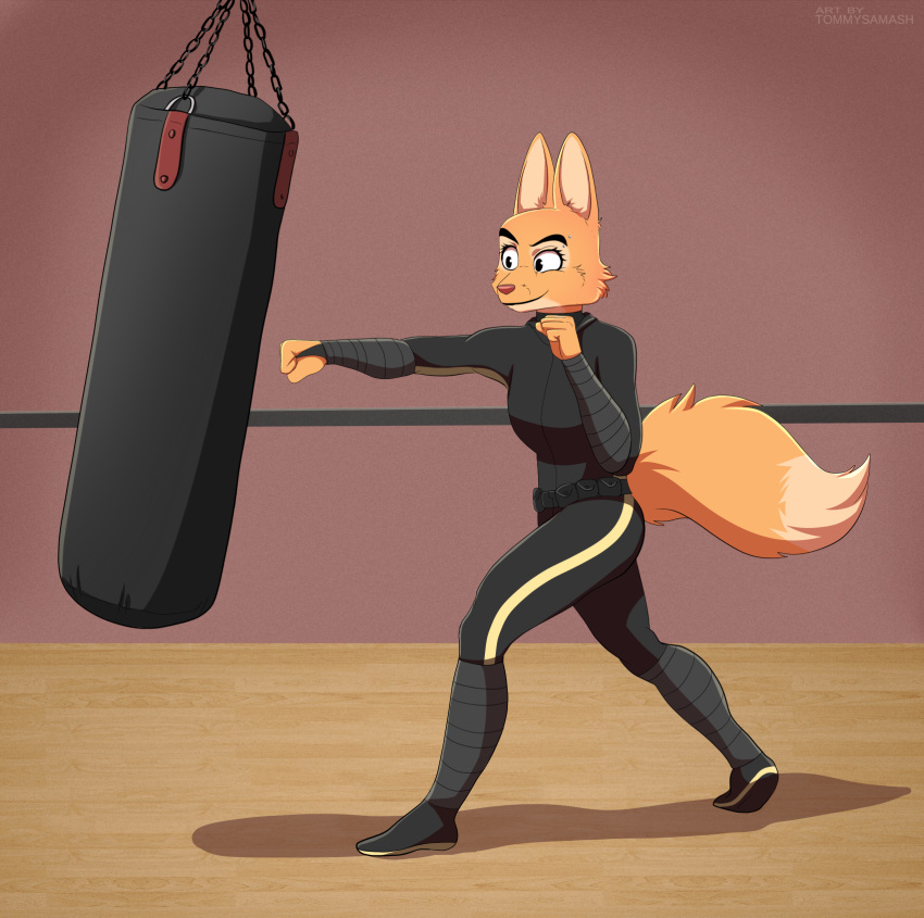 2022 anthro black_bottomwear black_clothing black_topwear bottomwear canid canine clothing diane_foxington digital_media_(artwork) dreamworks female fist fox hi_res inside mammal plantigrade punching_bag solo the_bad_guys tommysamash topwear