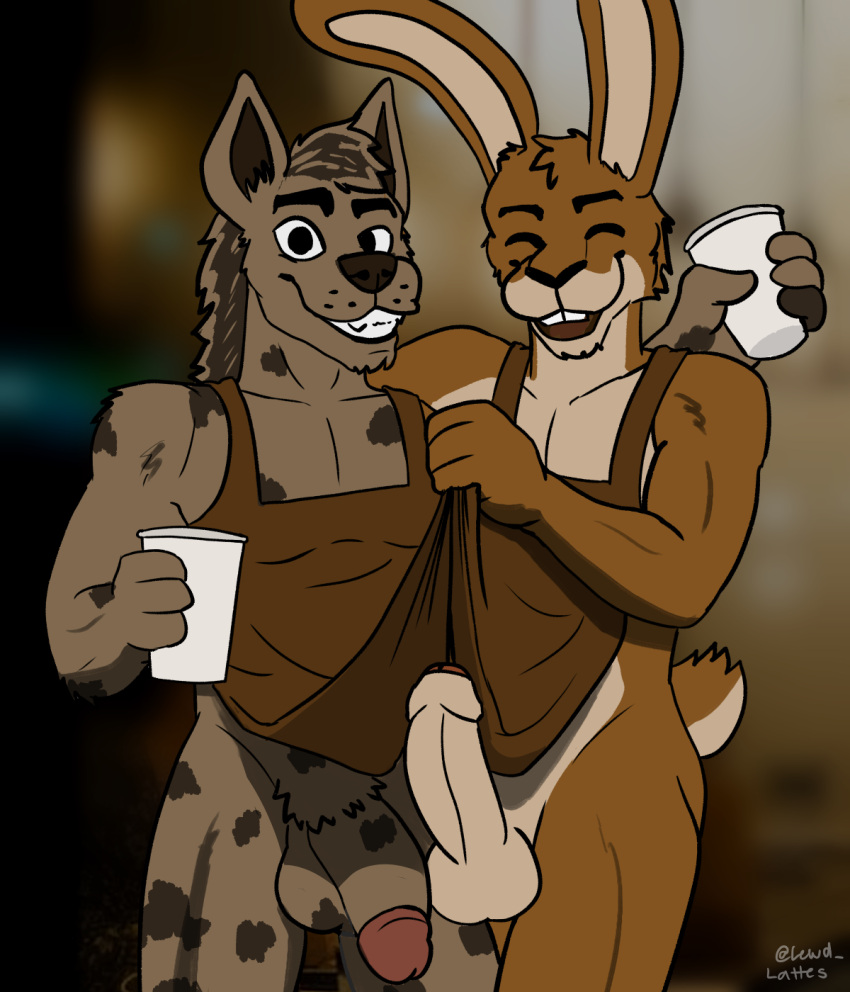 anthro apron apron_only beverage brown_body brown_fur cafe circumcised clothed clothing clothing_lift coffee container cup duo erection foreskin fur genitals hi_res hyaenid lagomorph leporid lewd_latte male male/male mammal mostly_nude penis rabbit shirt shirt_lift topwear