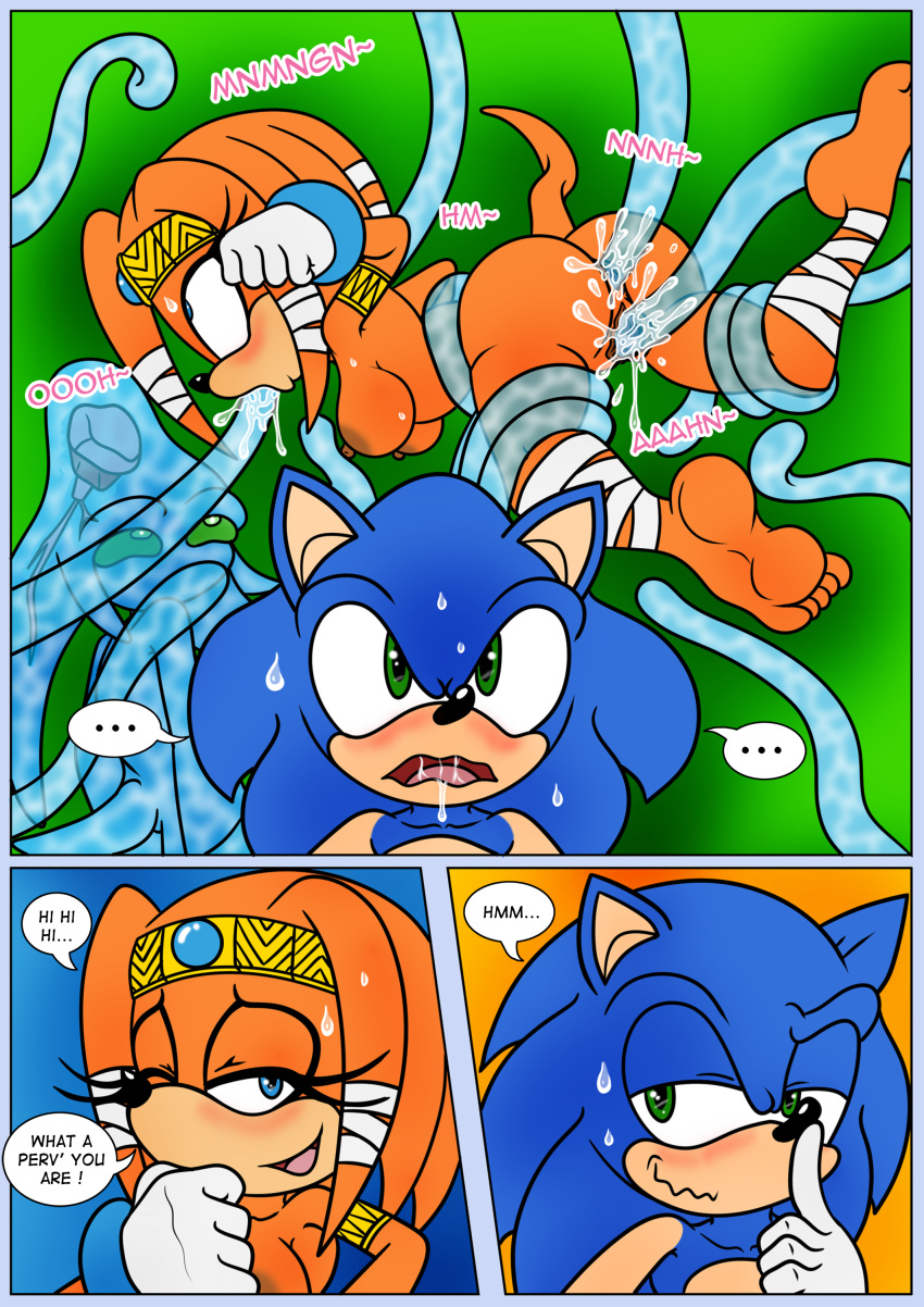 absurd_res female hi_res male raianonzika sega sonic_adventure sonic_the_hedgehog sonic_the_hedgehog_(series) tikal_the_echidna