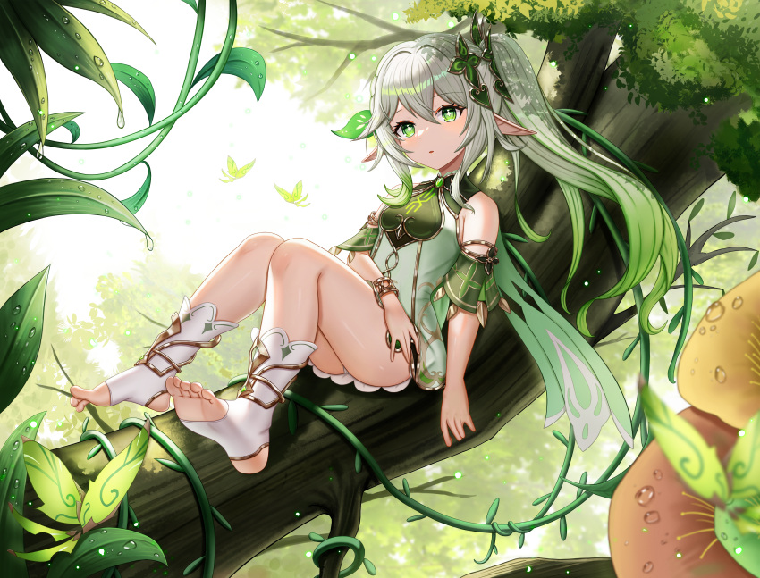 1girl absurdres bare_shoulders barefoot bracer colored_tips commentary cross-shaped_pupils crystalfly_(genshin_impact) day detached_sleeves dress feet full_body genshin_impact gold_trim gradient_hair green_eyes green_hair hair_ornament highres in_tree leaf_hair_ornament long_hair melreon multicolored_hair nahida_(genshin_impact) nature no_shoes outdoors parted_lips plant pointy_ears short_dress short_sleeves side_ponytail sitting sitting_in_tree socks solo stirrup_legwear thighs toeless_legwear toes tree two-tone_hair vines white_hair white_socks